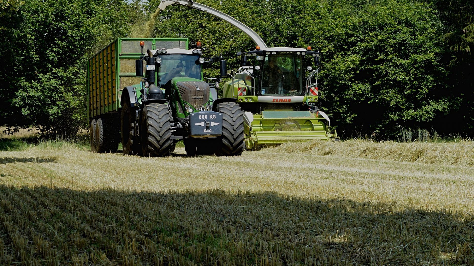 WhatsApp Image 2025-05-02 at 21.14.29 (2)