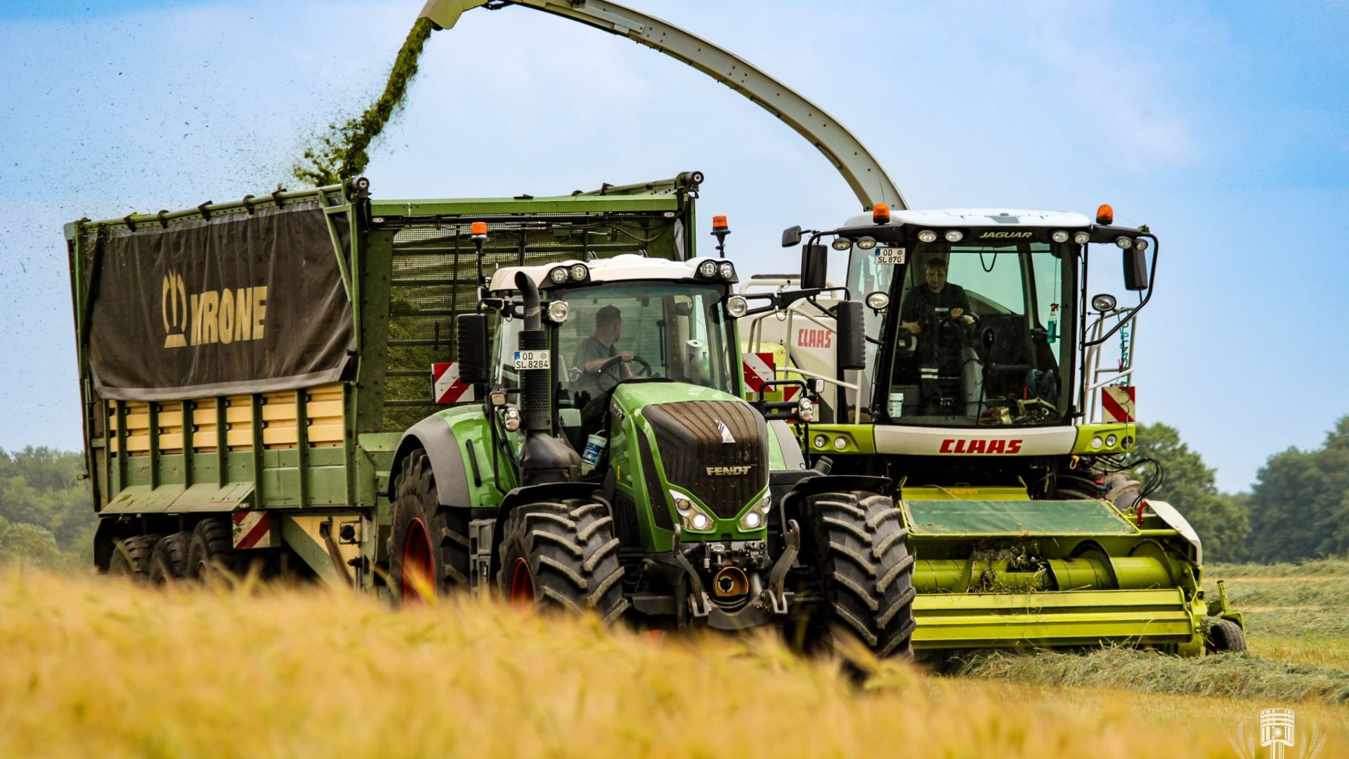 WhatsApp Image 2025-05-02 at 21.14.30